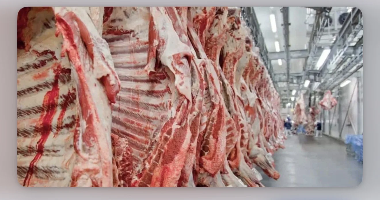 Carne bovina processada em frigorífico brasileiro destinada à exportação para o mercado externo.