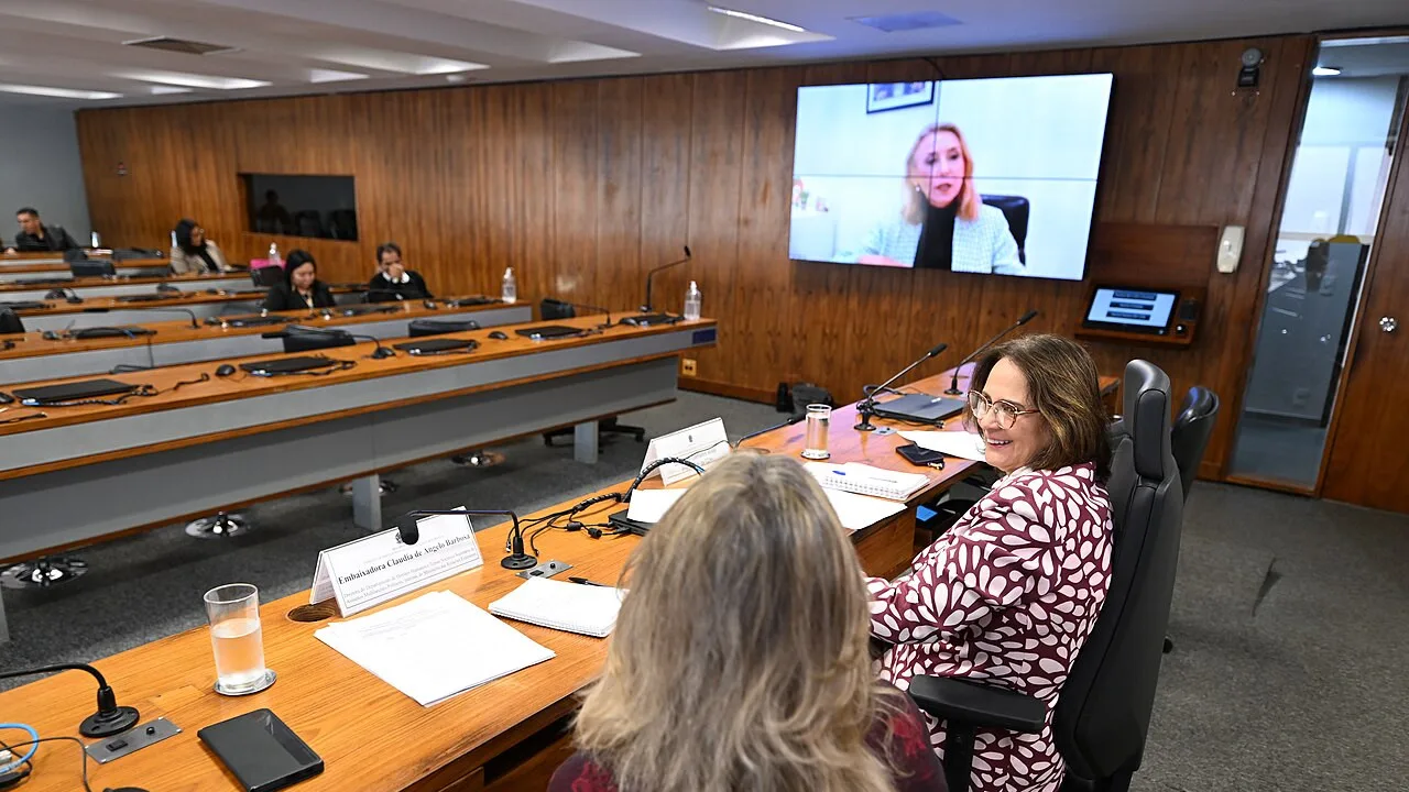 Angela Gandra participa de audiência no Senado